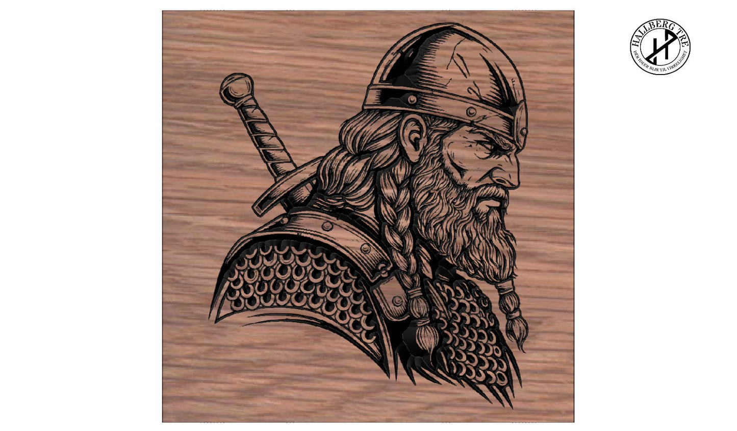 Vikingskilt – Kriger 29